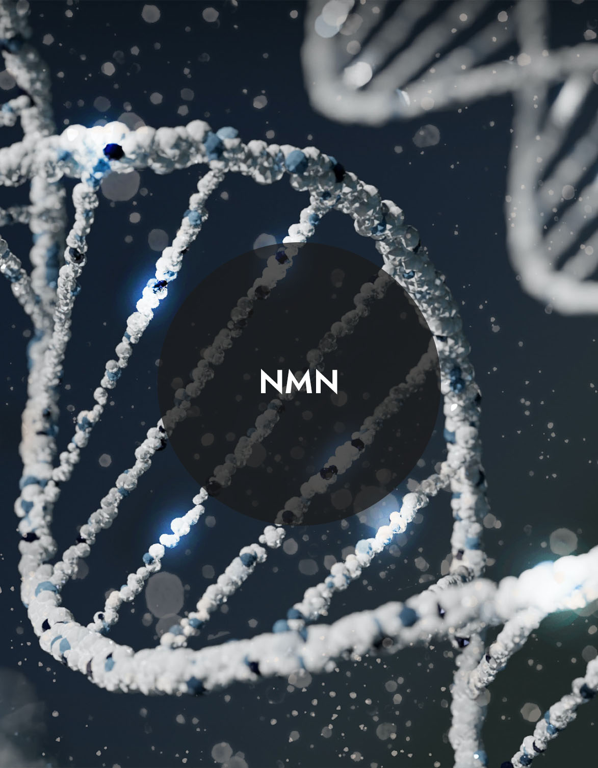 NMN
